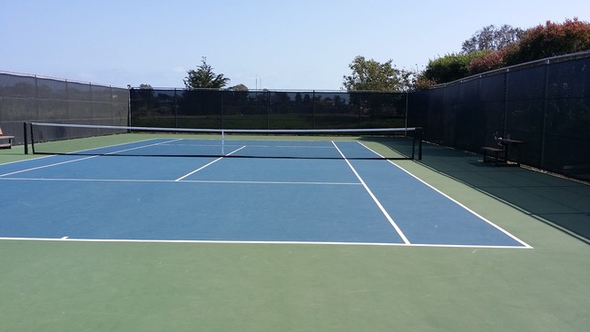 Newly Refinished Tennis Ct - 29500 Heathercliff Rd