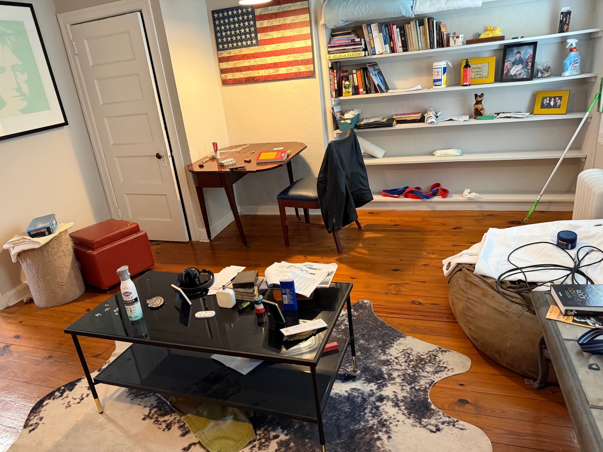 living room - 764 S 6th St