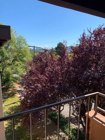 Building Photo - 400 Taylor Ave NW