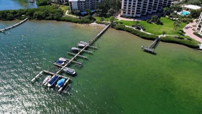 Building Photo - High Season Rental on Siesta Key at Turtle...