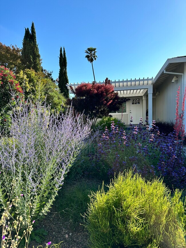 Building Photo - 18788 Polley Ln