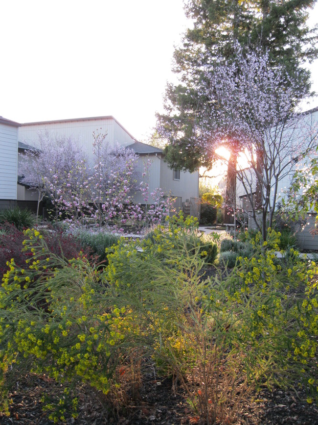 Building Photo - Ironwood Condominiums