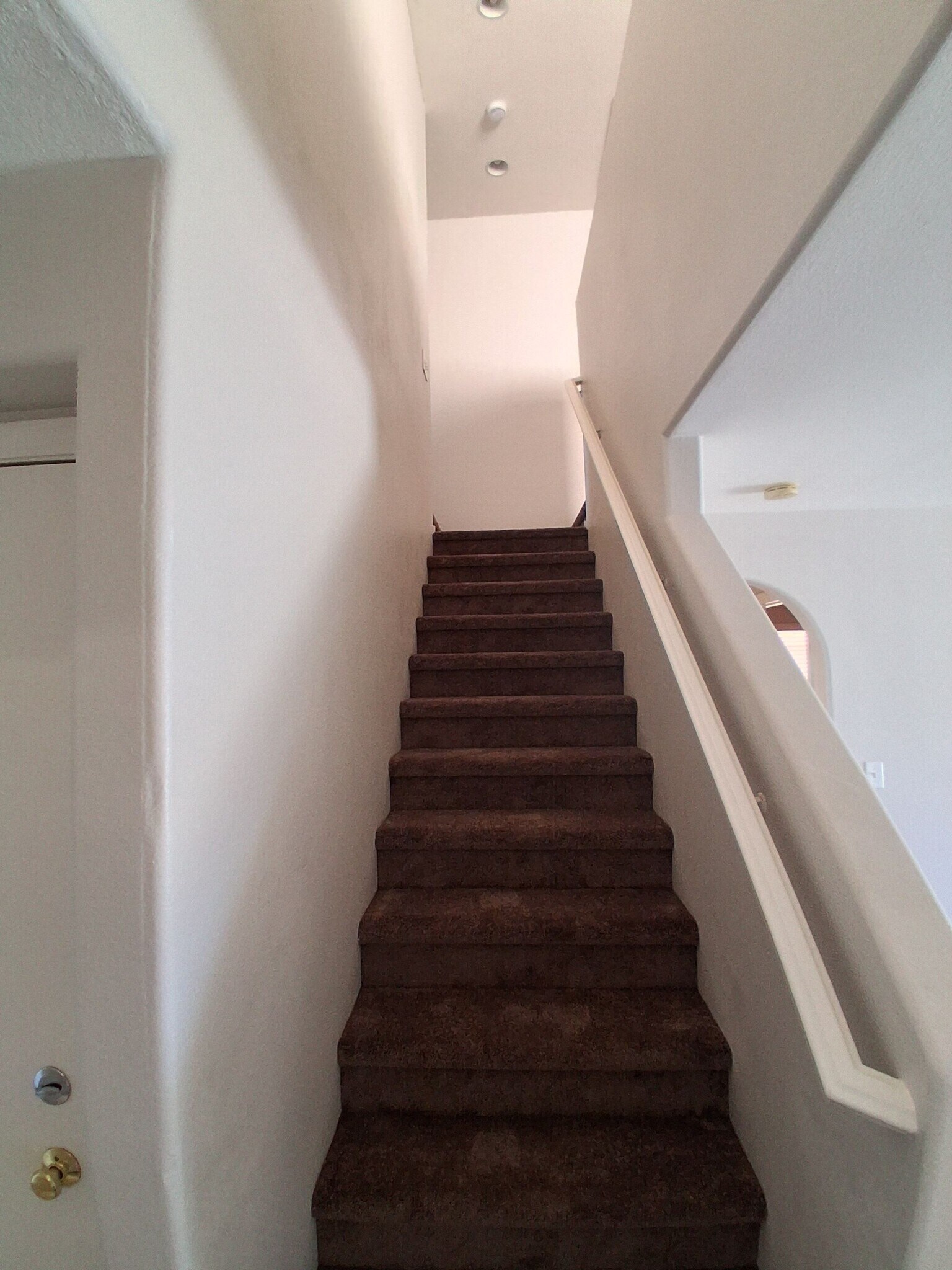 Building Photo - 8011 Torremolinos Ave