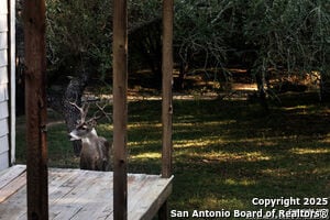 Building Photo - 445 Scenic Hills Dr