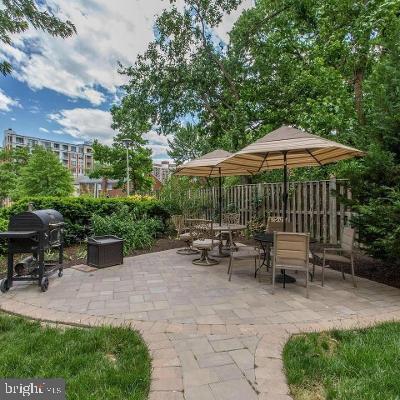 Building Photo - 5353 Columbia Pike