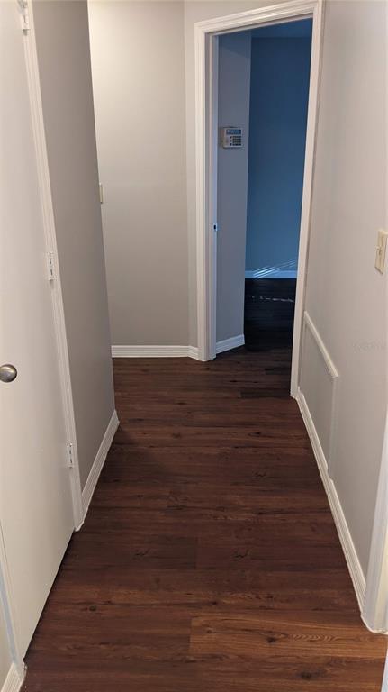 Building Photo - 1284 Roma Ct