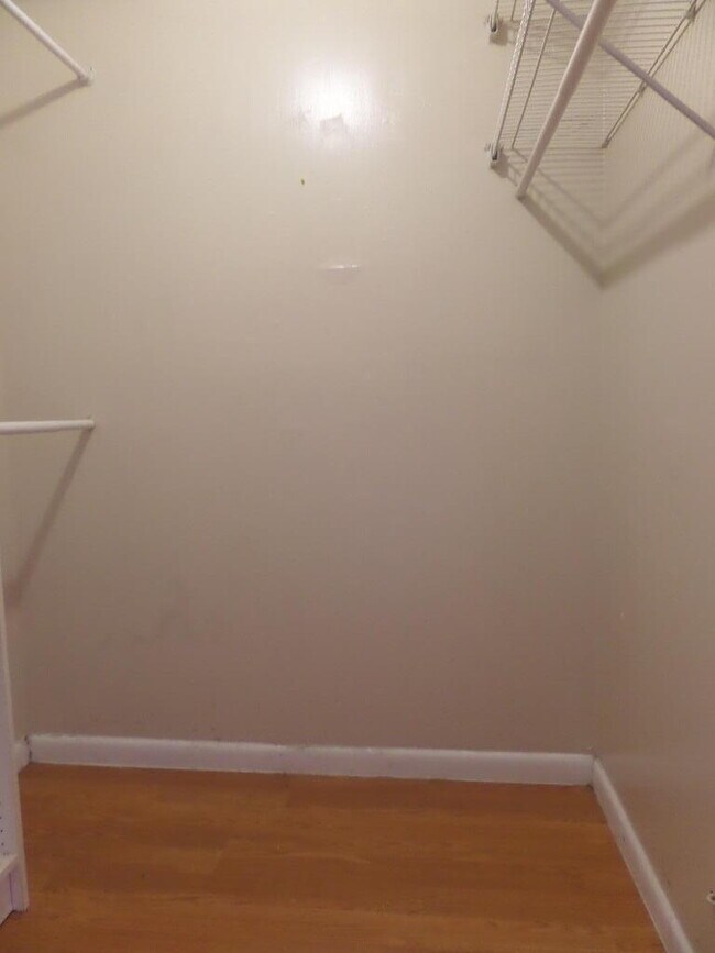 Building Photo - 8633 Pluto Terrace