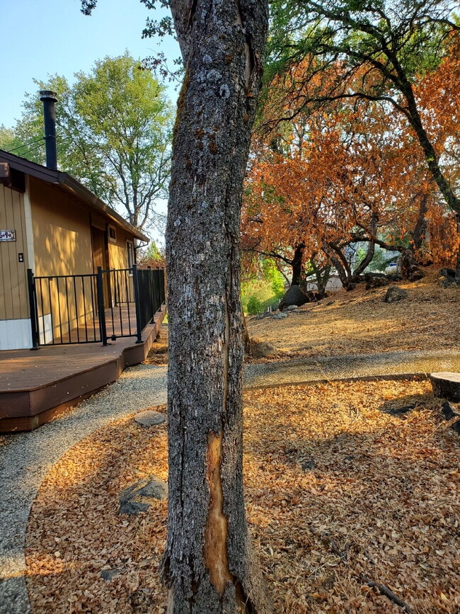 Building Photo - Comfortable 2-Bedroom Home in Lake Wildwood