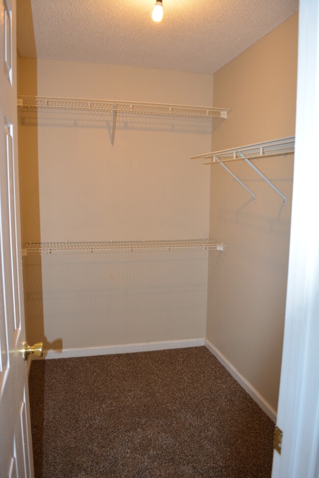 Building Photo - 204 Tyson Glen Dr