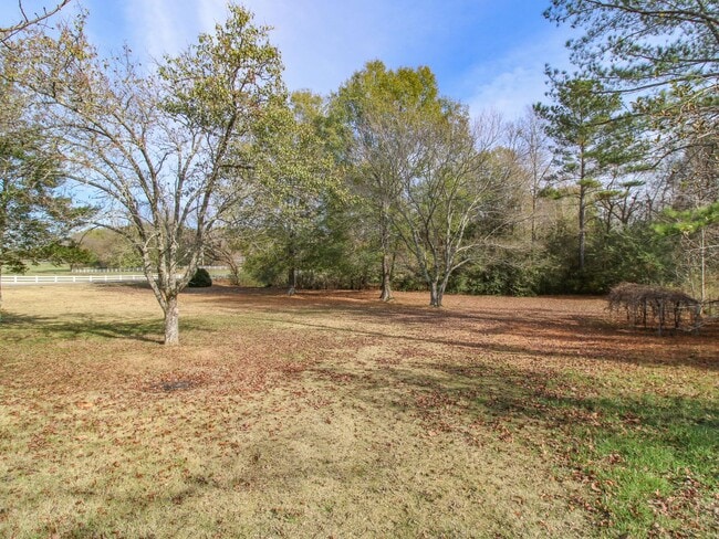Building Photo - Nice Home in Rogersville!