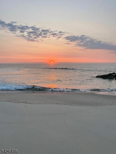 Building Photo - 217 Newark Ave