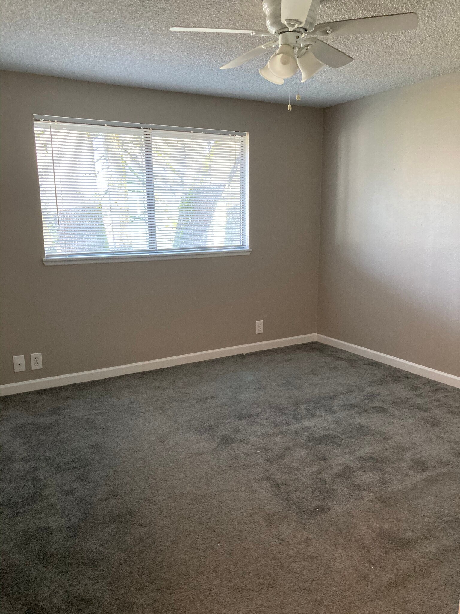 Building Photo - 2863 Applewood Ln