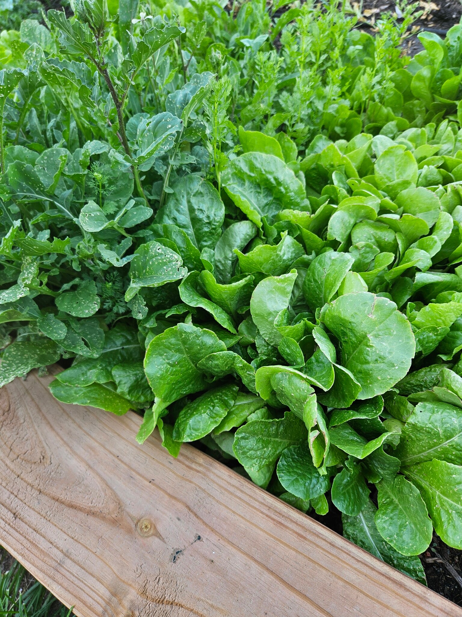 Building Photo - 6135 Easton Cir