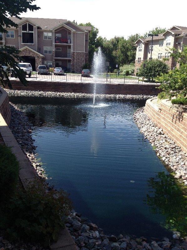 Patio view of water feature - 10805 Twenty Mile Rd