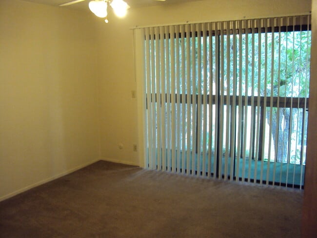 Building Photo - Available Now!