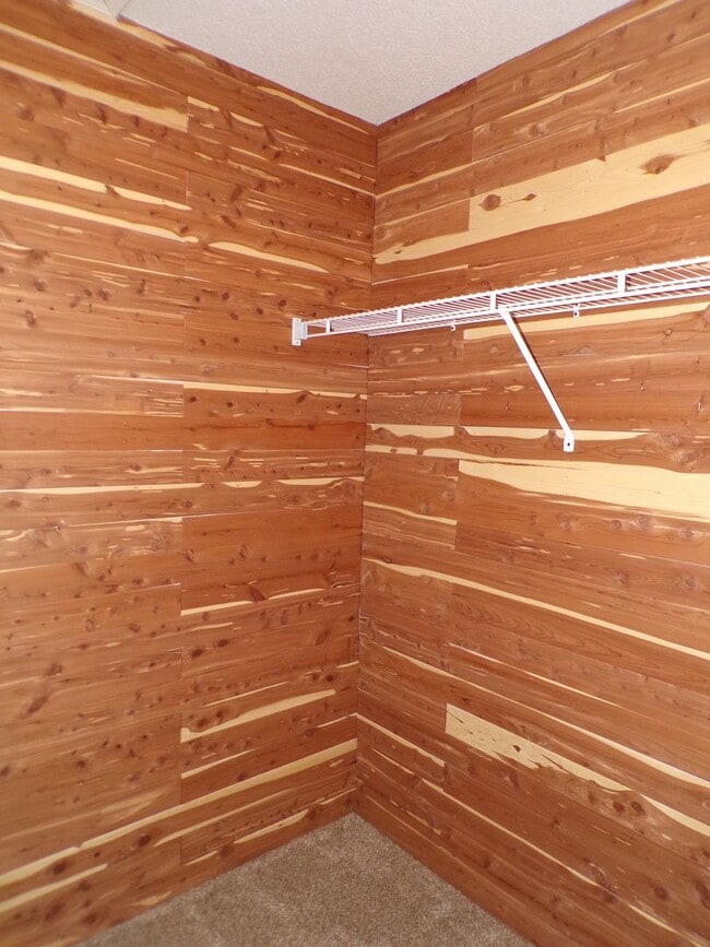 Building Photo - Nice 3 Bedroom 2 Bathroom House In South C...
