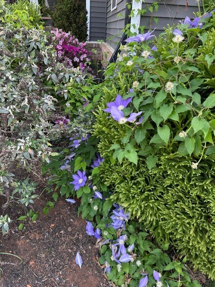 Building Photo - 42 Beech Tree Ln