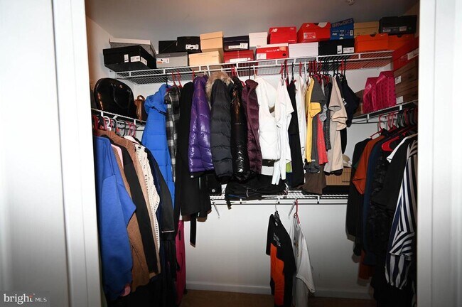 Building Photo - 9310 Paragon Way