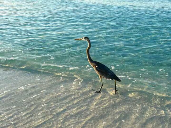 Building Photo - 12 Sandy Cv Wy