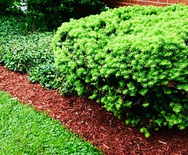 Building Photo - 735 Lincolnway E