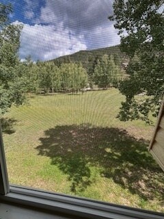 View from kitchen window. - 509 Mountain View Pl