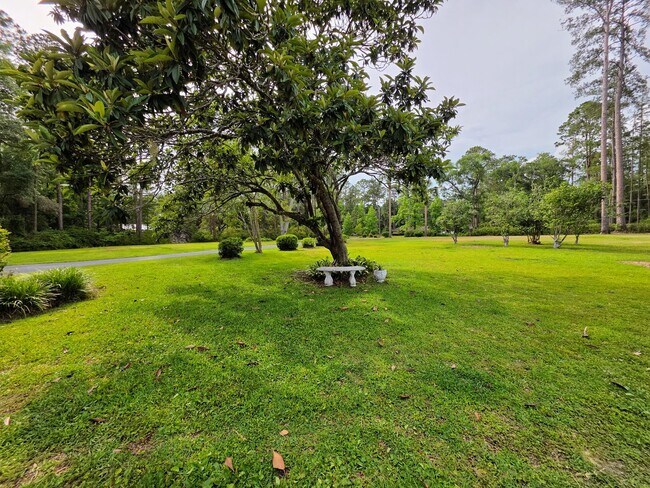 Building Photo - Peaceful paradise