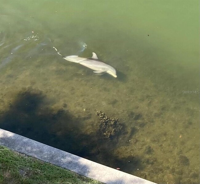 Building Photo - 8800 Bay Pines Blvd