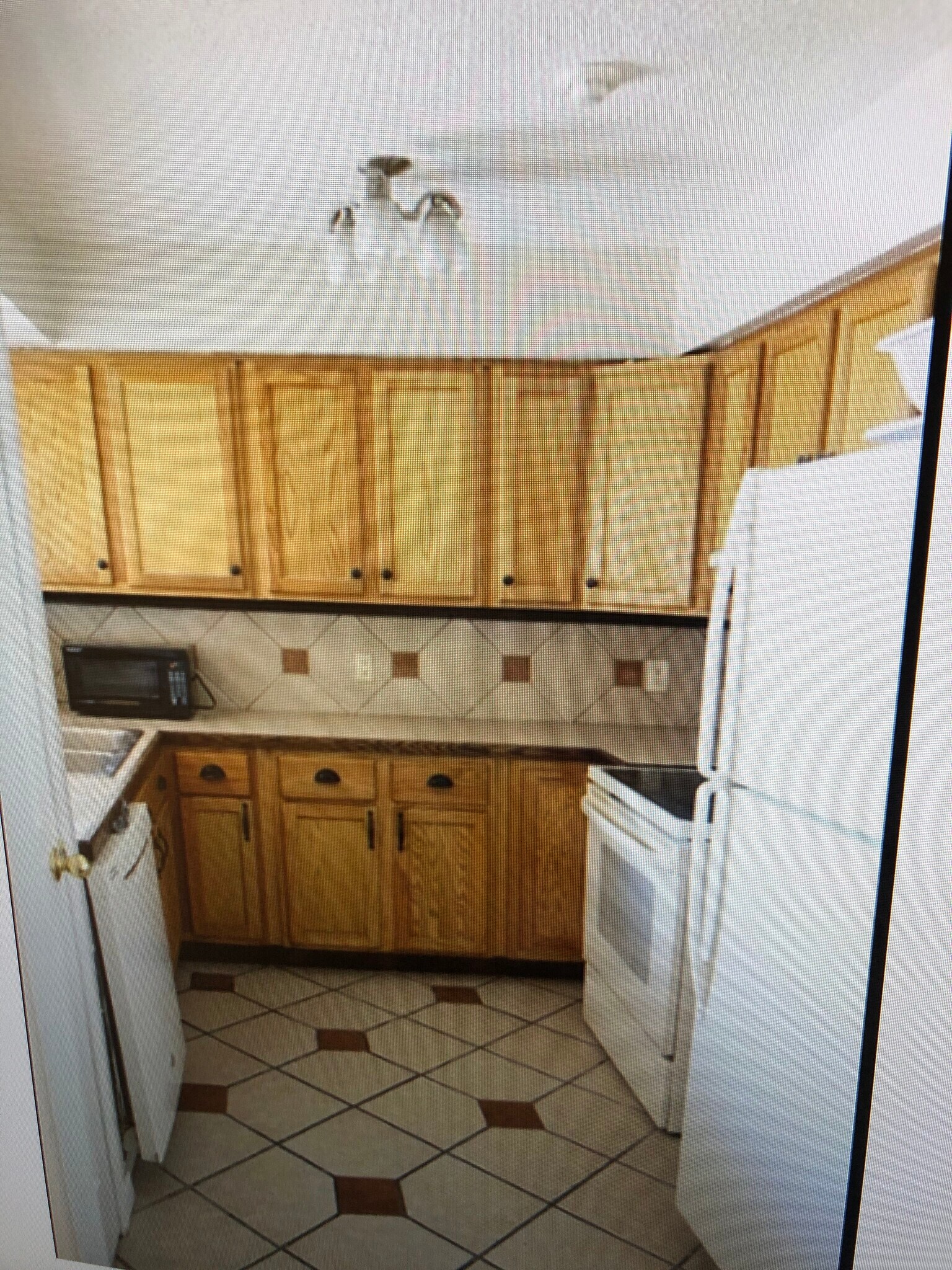 Building Photo - 2102 Hinkle Ave