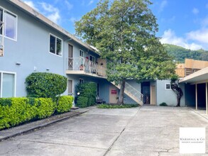 Building Photo - NEW LISTING! Walk 1 Block To Downtown! Sec. Deposit lowered! LG. 1 BR/1BA, Hdwd Flrs,Big Walk-In Clo