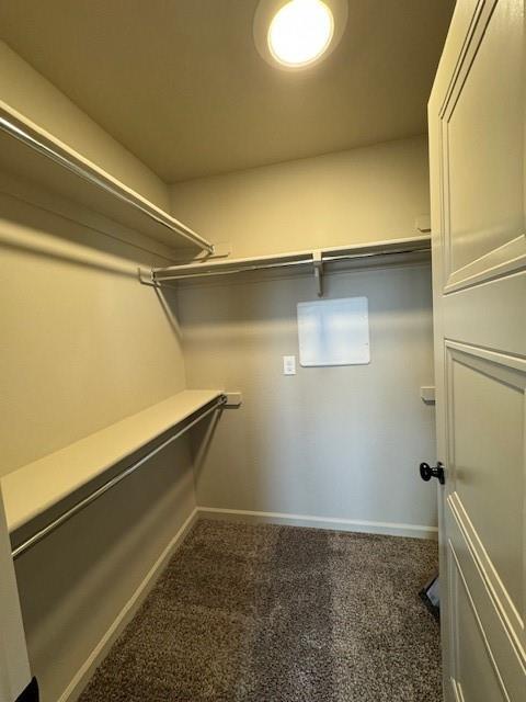 Building Photo - 3208 Mt Nebo Dr