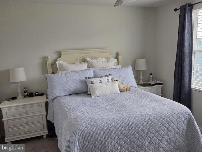 Building Photo - 503 Williams St