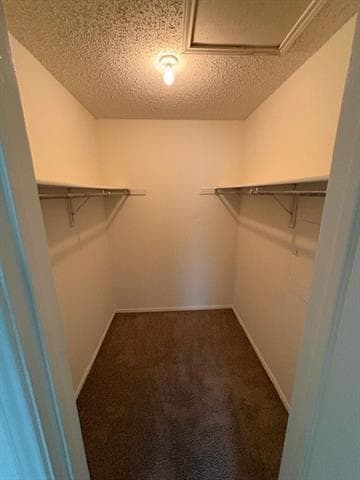 Building Photo - 8109 Skillman St