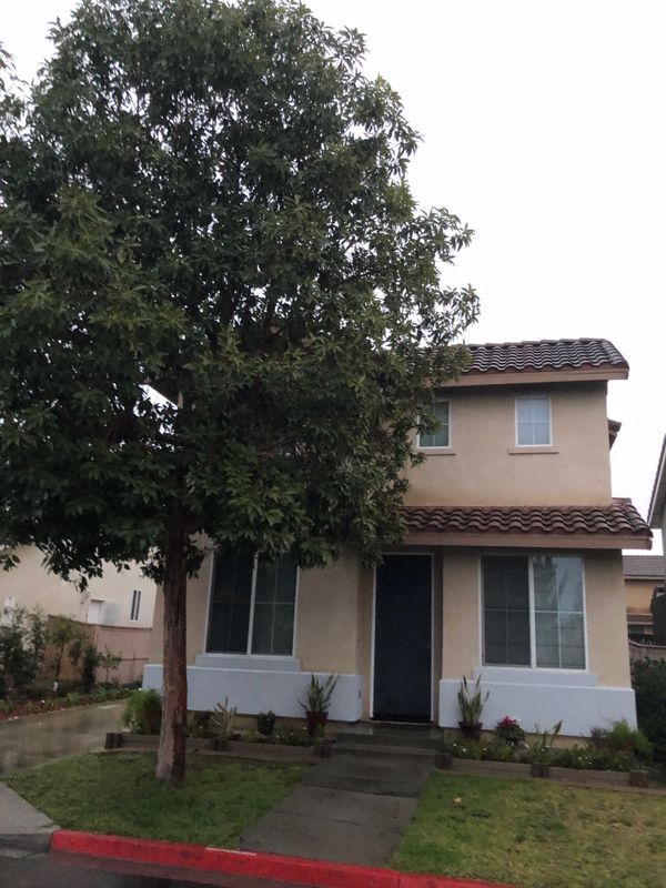 Primary Photo - 2872 Homestead Dr