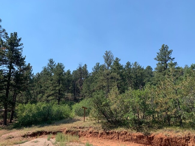 Building Photo - Beautifully updated home on 5 acres