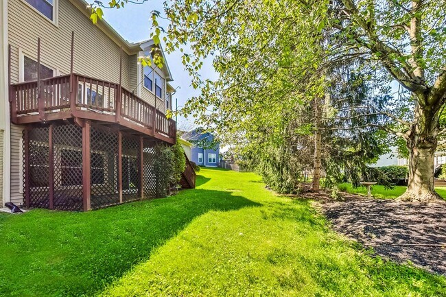 Building Photo - Cool on Cool Spring! Large SF 4 Bed + 2.5 BA