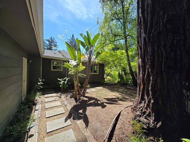 Building Photo - Large and stunning home in rural Sebastopol!
