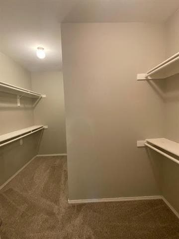 Building Photo - 10243 Waterbury Dr