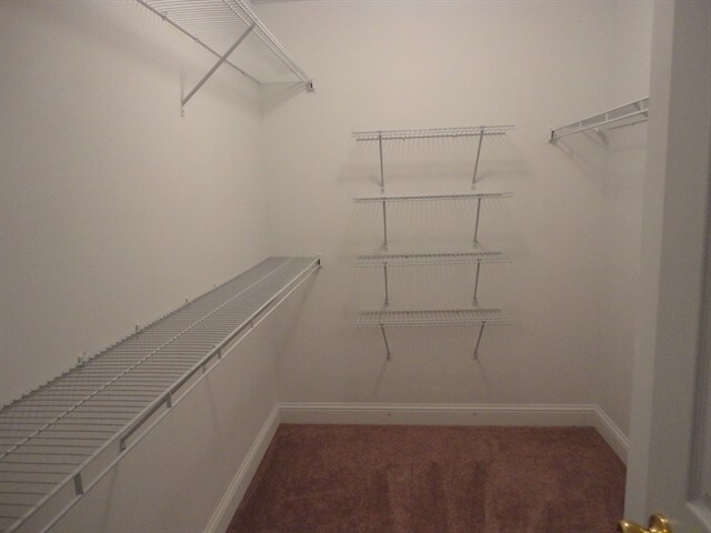 Building Photo - 2710 Meadow Gate Way