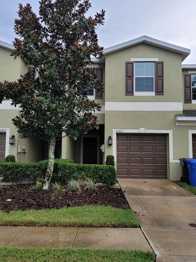 Building Photo - Beautiful Townhome in the Heart of New Tampa!