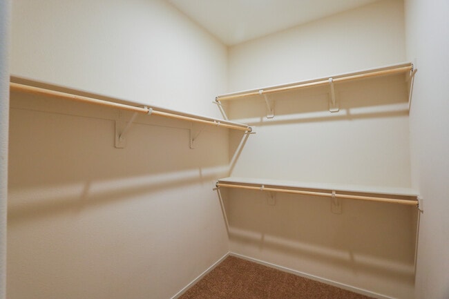 Building Photo - 1294 Luna del Oro Ln