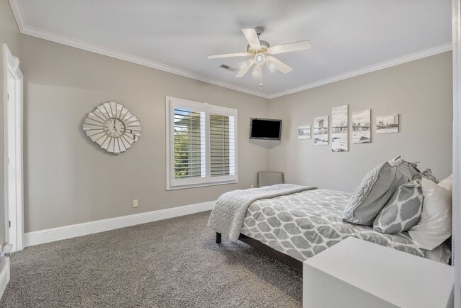 Building Photo - Princeton Hills Fully Furnished