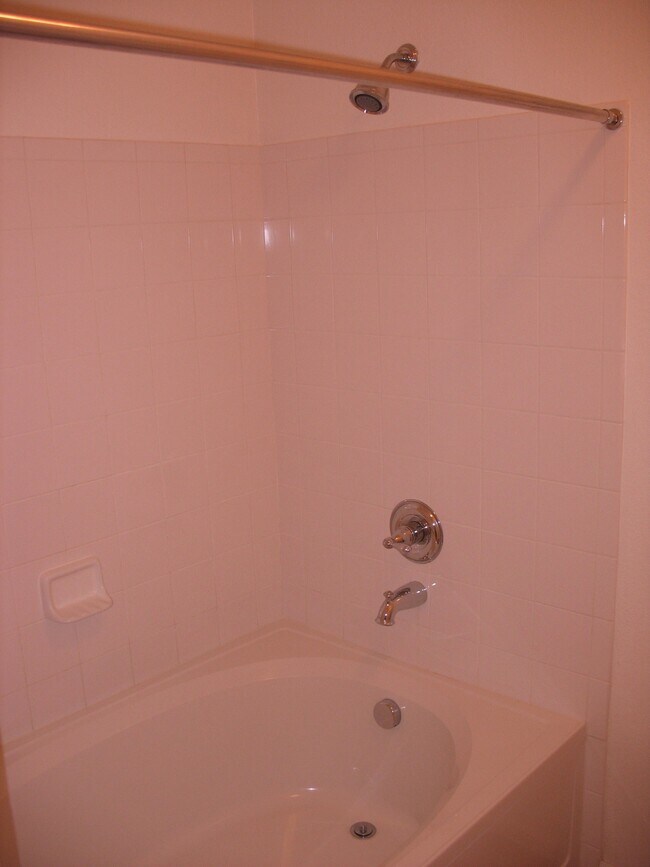 Sunk in tub - 2855 Blue Sky Cir