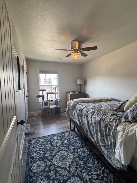 Building Photo - 2415 E Frontier Elm Dr