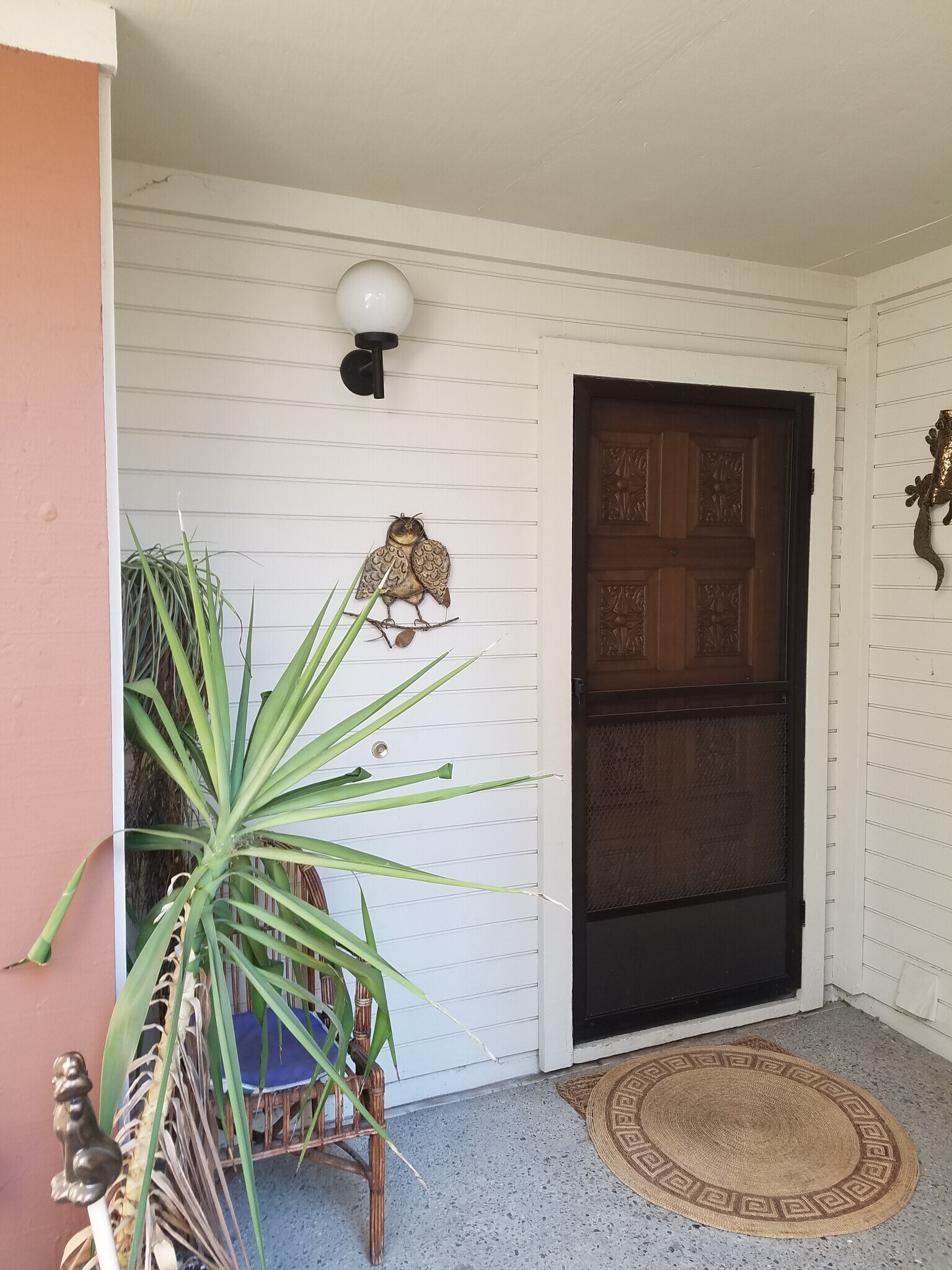 front door - 1896 Mountain Creek Ct