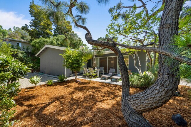 Backyard - 11411 Dona Pegita Dr