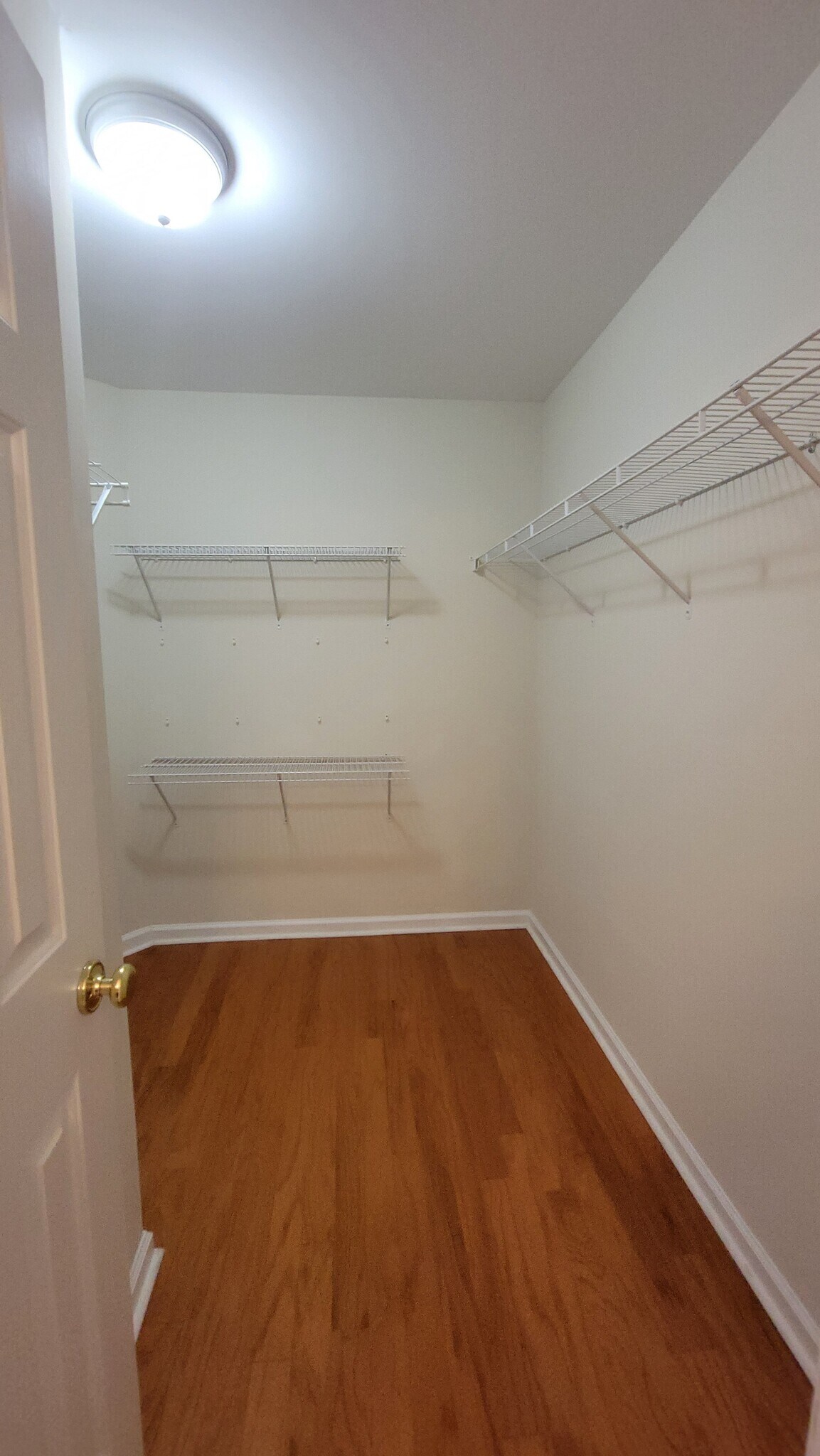 Building Photo - 905 Somerton Pl