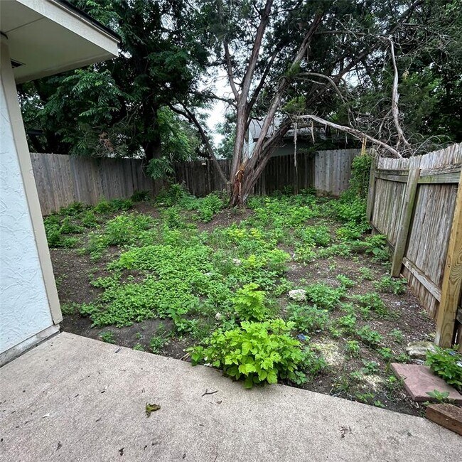 Building Photo - 1235 Armadillo Rd