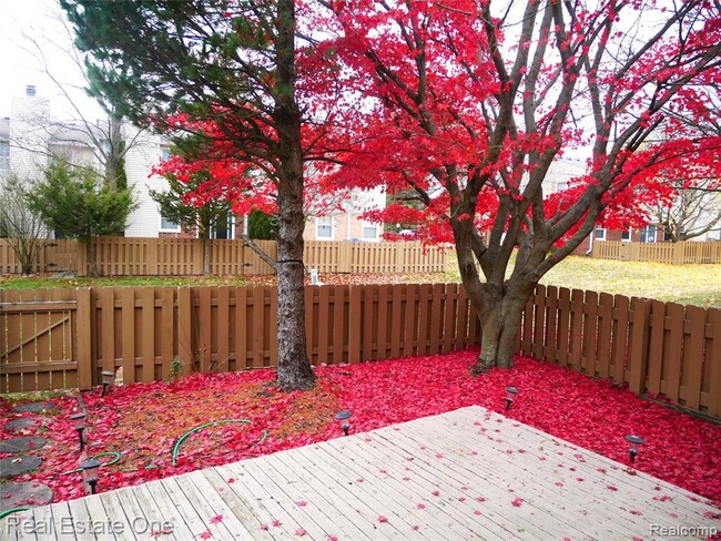 Building Photo - 5082 Buckingham Pl Dr