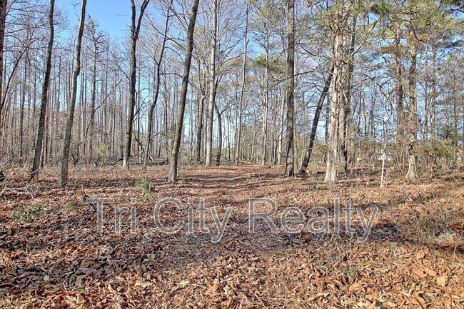 Building Photo - 175 Ridgeway Ct