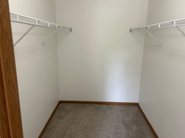 Building Photo - 727 Elm Ln